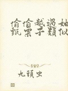 偷偷越过她by甄栗子类似小说