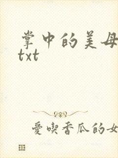 掌中的美母版主txt