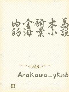 内含骑木马情节的海棠小说男主