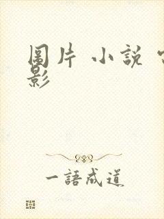 图片 小说 电影