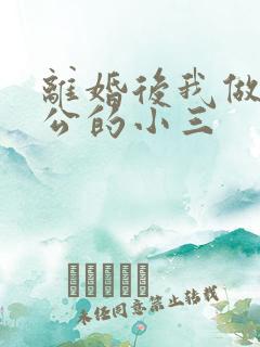 离婚后我做了老公的小三