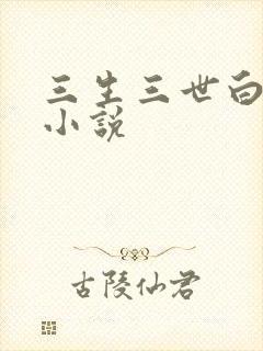 三生三世白暮泪小说
