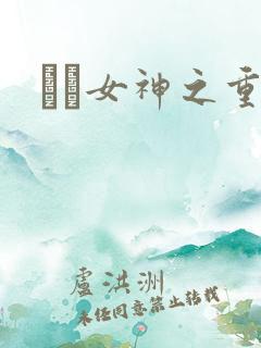 鹡鸰女神之重生