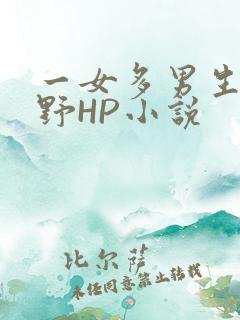 一女多男生活狂野HP小说