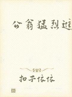 公翁猛烈进出H
