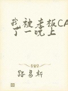 我被老板CAO了一晚上