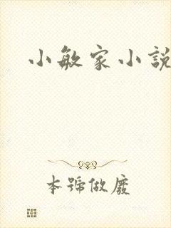 小敏家小说