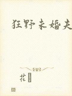 狂野未婚夫