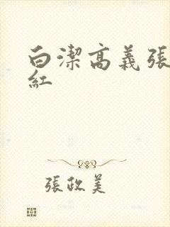 白洁高义张敏梅红