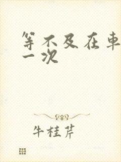 等不及在车里做一次