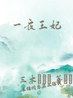 一夜王妃