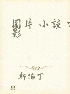 图片 小说 电影