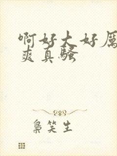 啊好大好厉害好爽真骚