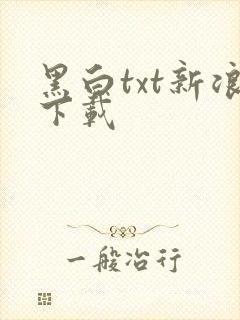 黑白txt新浪下载