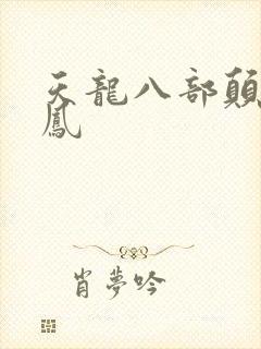 天龙八部颠龙鸾凤