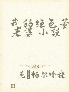 我的绝色董事长老婆 小说