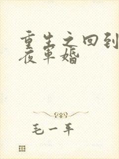 重生之回到新婚夜军婚