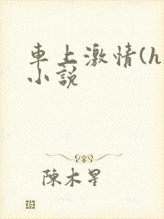 车上激情(h)小说