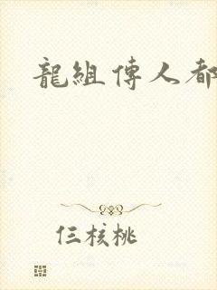 龙组传人都市行