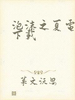 泡沫之夏电视剧下载