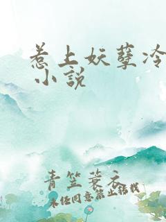 惹上妖孽冷殿下 小说