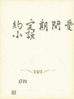 约定期间爱上你小说