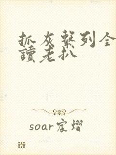 抓灰系列全文阅读老扒