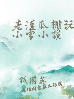 老汉瓜棚玩小丹小雪小说