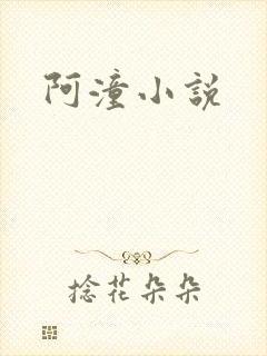 阿潼小说