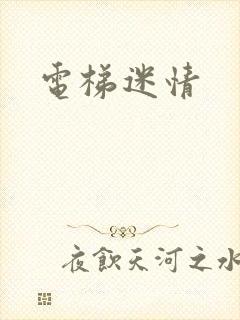 电梯迷情