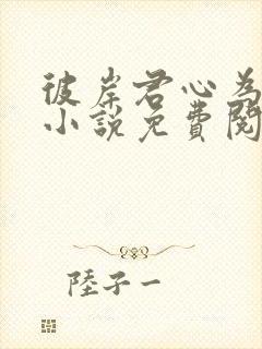 彼岸君心为我倾小说免费阅读