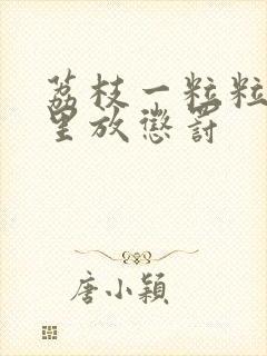 荔枝一粒粒的往里放惩罚