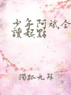 少年阿斌全文阅读起点