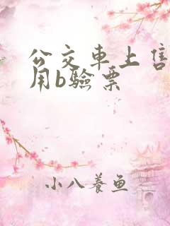 公交车上售票员用b验票