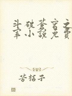 斗破苍穹之大主宰小说免费阅读全文