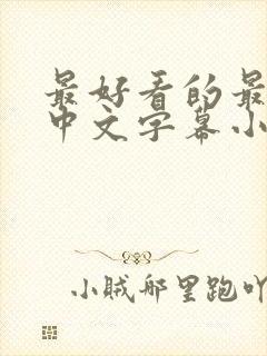 最好看的最新的中文字幕小说