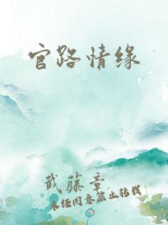 官路情缘