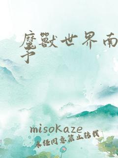 魔兽世界南音梦予