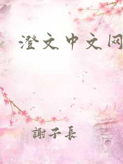 澄文中文网