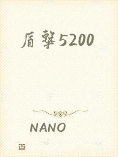 盾击5200