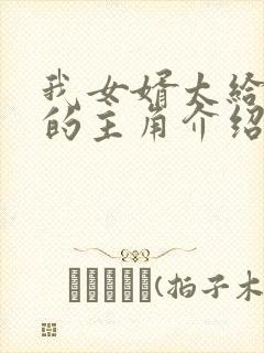 我女婿太给力了的主角介绍