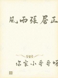 风雨张居正下载