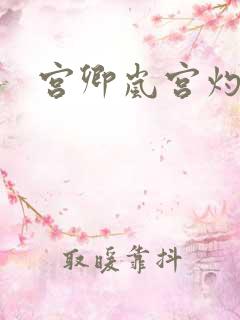 宫卿岚宫灼小说