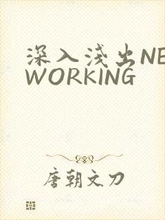 深入浅出NETWORKING