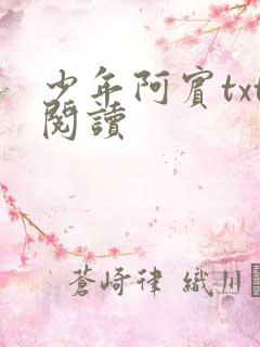 少年阿宾txt阅读