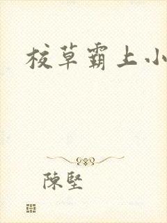 校草霸上小丫头