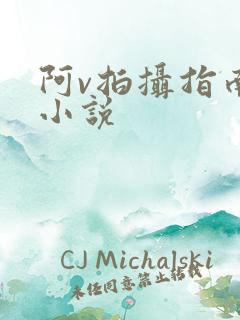 阿v拍摄指南说小说