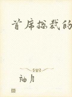 首席总裁的逃妻