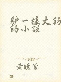 驴一样大的凶器的小说