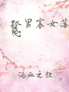 孤男寡女落瑛纷飞